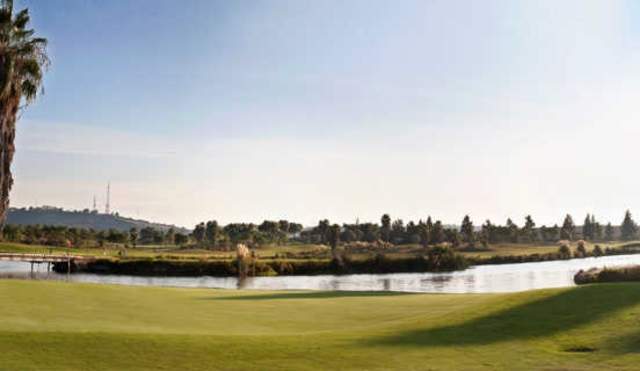 WAGR Scalpers Tournament