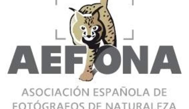 Congreso de AEFONA