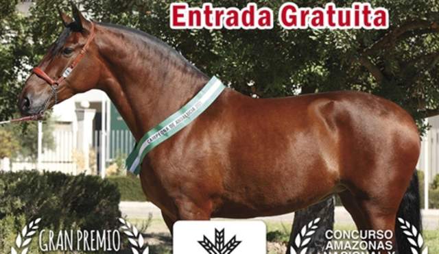 Campeonato Andalucia PRE