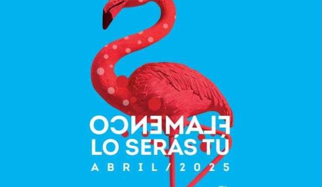 Festival Flamenco lo serás tú
