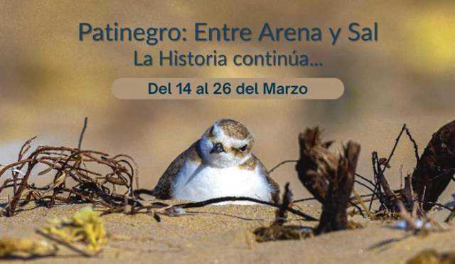 Exposición "Patinegro: Entre Arena y Sal. La Historia continúa..."