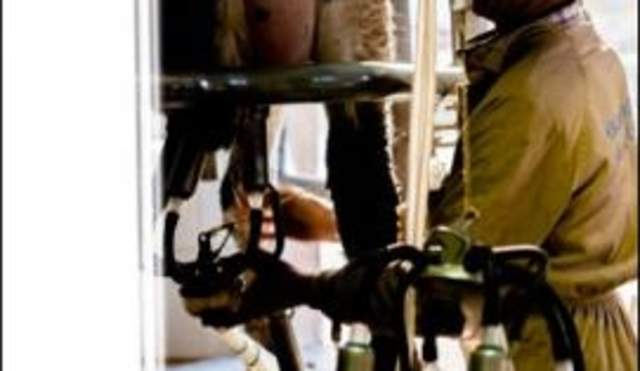 Feria Agroganadera y Agroalimentaria de Los Pedroches