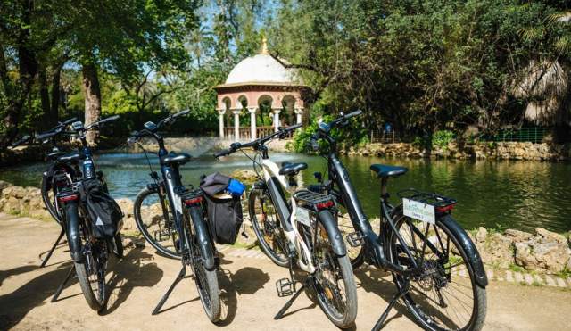 E-bike rental 3 horas