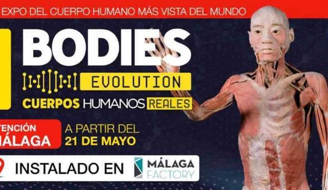 Exposición Bodies Evolution