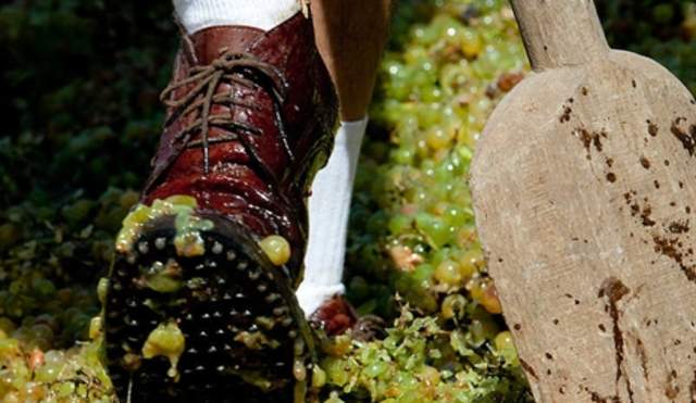 Fiestas de la Vendimia