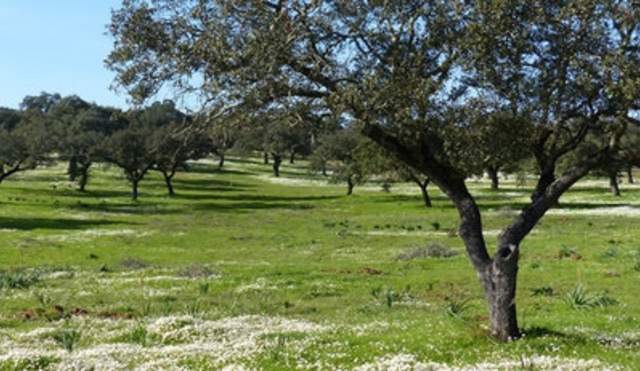Itinerarios del Bajo Guadiana