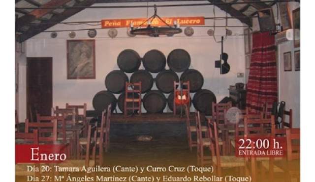 Ciclo de Flamenco "Vive el flamenco"