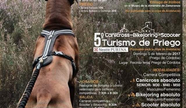 Canicross en Priego de Córdoba