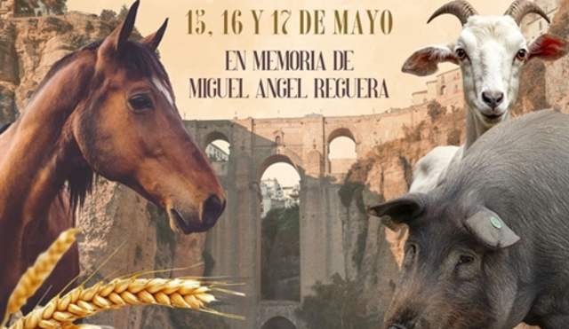 Real Feria de Mayo Agroronda