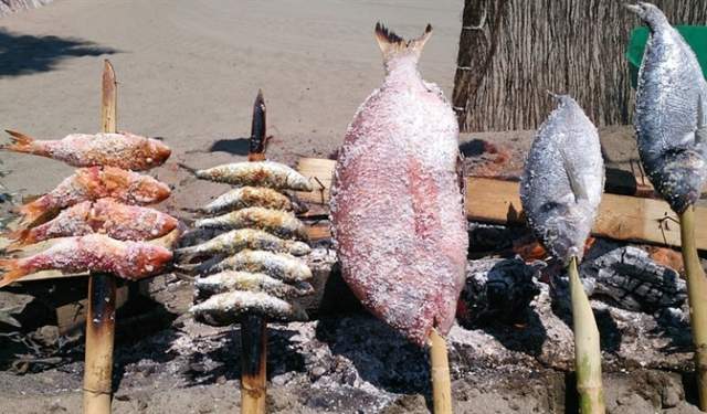 A Sailor in the Land: fish auction and seafood tapas in Estepona's port area