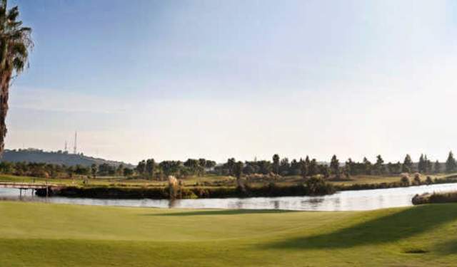 WAGR Scalpers Tournament