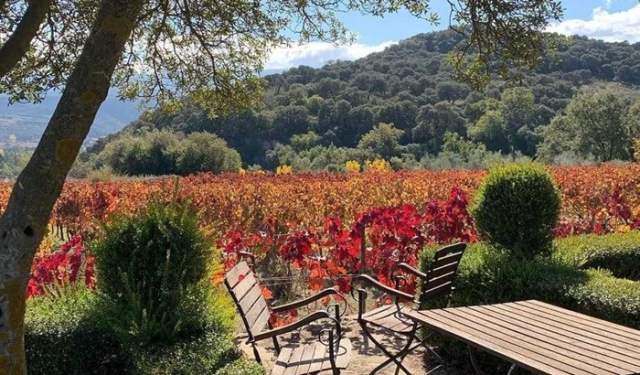 Biodynamic experience at Federico Schatz winery in Ronda