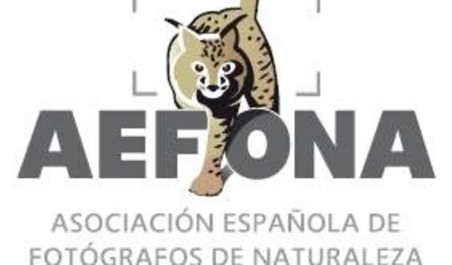 Congreso de AEFONA