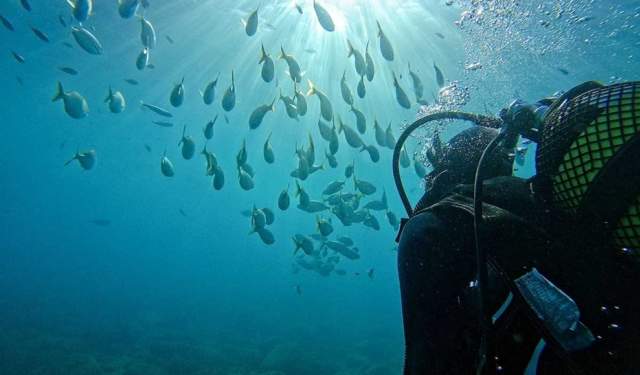 Bautismo de buceo para dos personas en La Herradura
