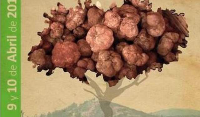 Feria Gastronómica del Andévalo: La turma, la trufa blanca