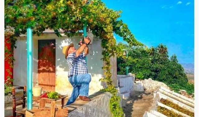 Noche del Vino en Cómpeta