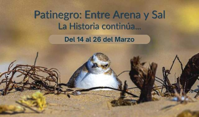 Exposición "Patinegro: Entre Arena y Sal. La Historia continúa..."