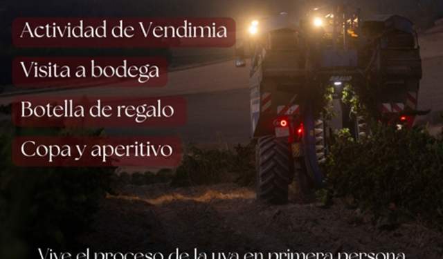 Vendimia nocturna en Huerta de Albalá