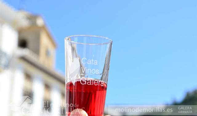 Cata de Vinos de Galera