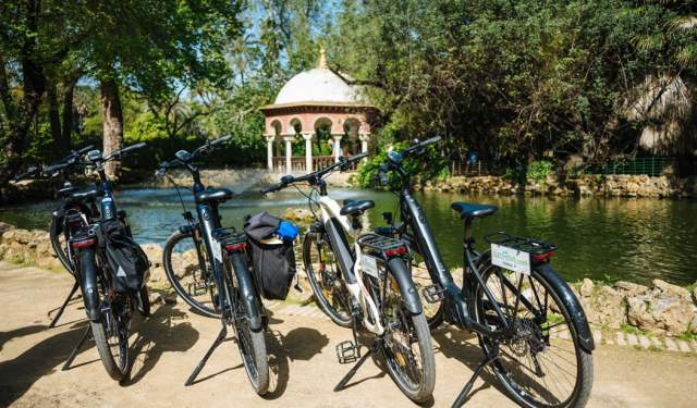 E-bike rental 3 horas