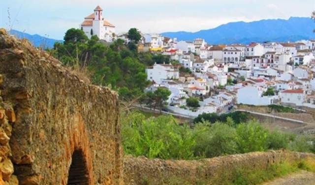 Feria de la Aceituna