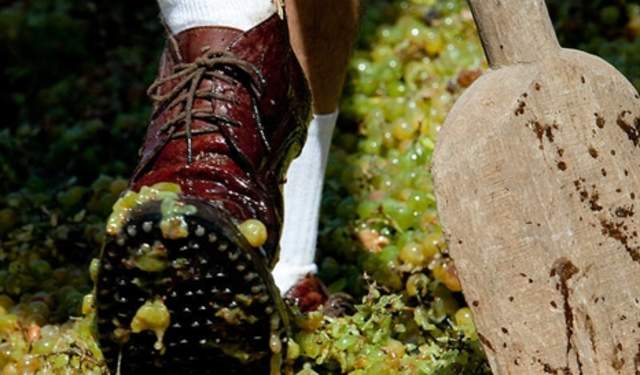 Fiestas de la Vendimia