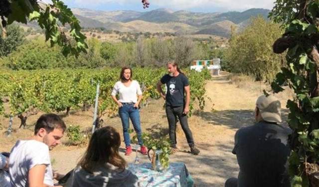 Naturbelassene Weine aus der Region Alpujarra in Almería