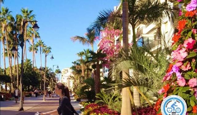 Estepona Vive sus Calles