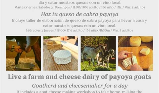 Berger et fromager pour une journée dans les montagnes de Malaga