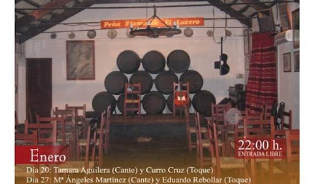 Ciclo de Flamenco "Vive el flamenco"