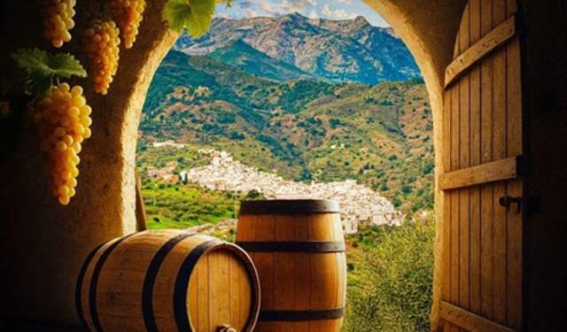 Cata de Mosto de Tolox