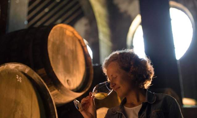 Visita privada a Bodegas Barbadillo con degustación de vinos y aperitivos