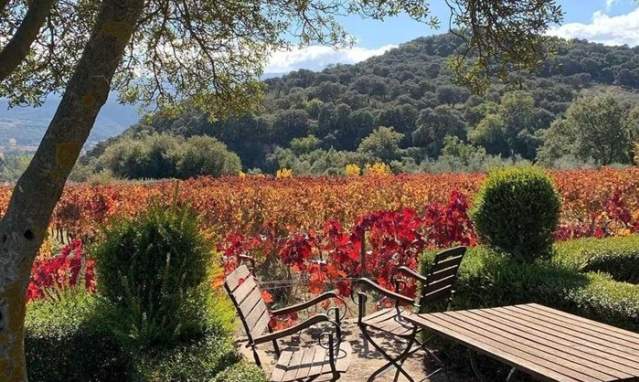 Experiencia biodinámica en bodega Federico Schatz en Ronda