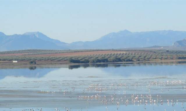 Laguna de Fuente de Piedra