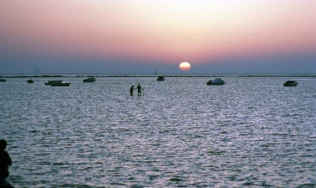 Doñana