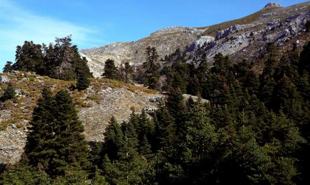 Sierra de las Nieves