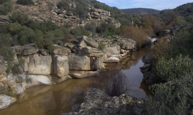 Dehesa de Burguillos