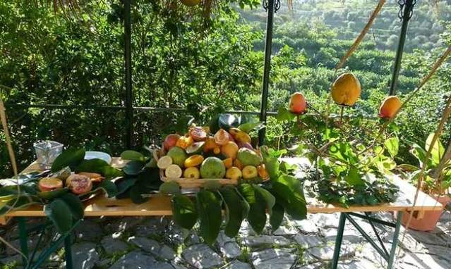 Visita a huerto tropical y degustación