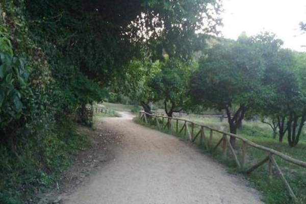 Corredor Verde Metropolitano