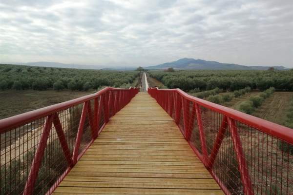 Vía Verde del Aceite. Tramo Moriles - Campo Real