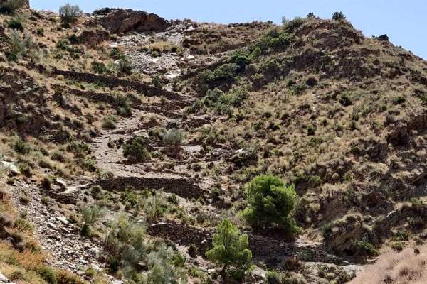 Camino antiguo a Macael Viejo