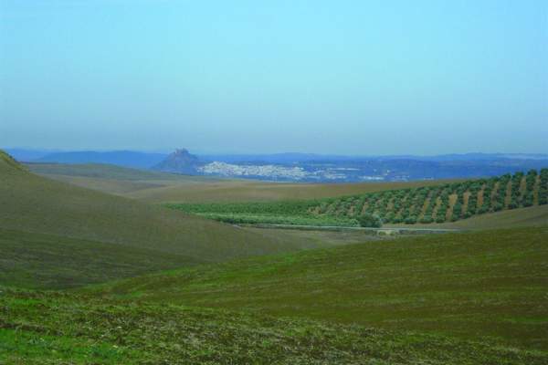 Vía Verde de la Campiña (I)