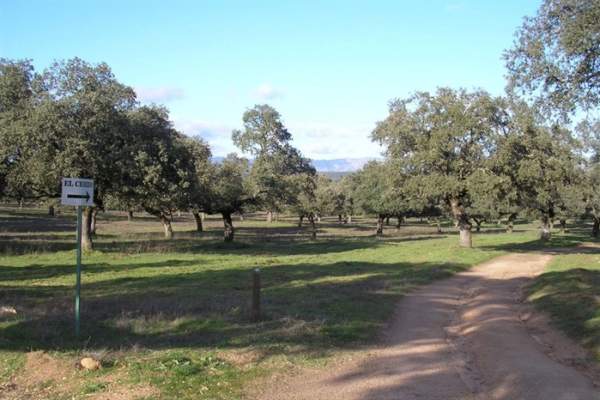 Aldea del Cerezo-Venta del Charco