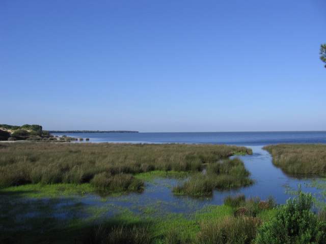 Doñana