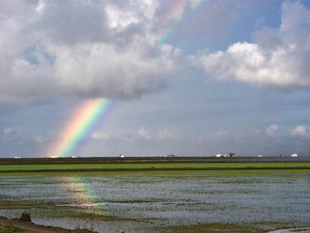Rice Route in the province of Seville