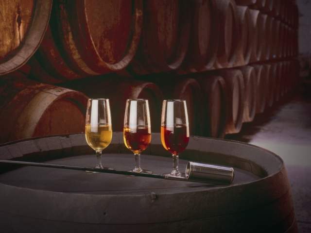 Route du vin et du Brandy Marco de Jerez