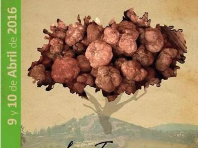 Feria Gastronómica del Andévalo: La turma, la trufa blanca