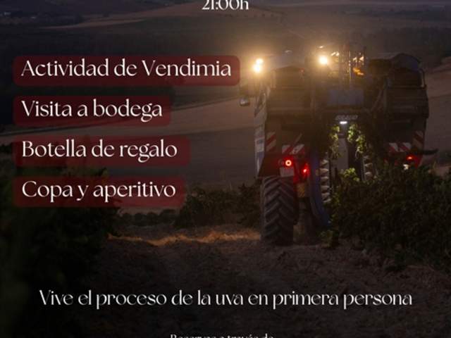 Vendimia nocturna en Huerta de Albalá