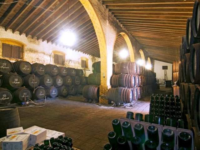 Condado de Huelva Wine Trail