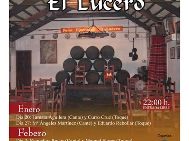 Ciclo de Flamenco "Vive el flamenco"